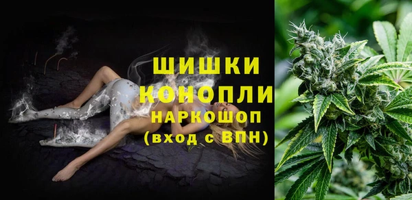 spice Козловка