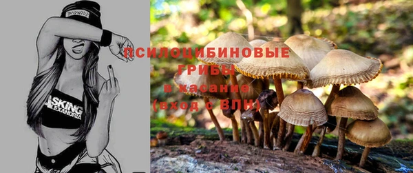 а пвп мука Кинешма